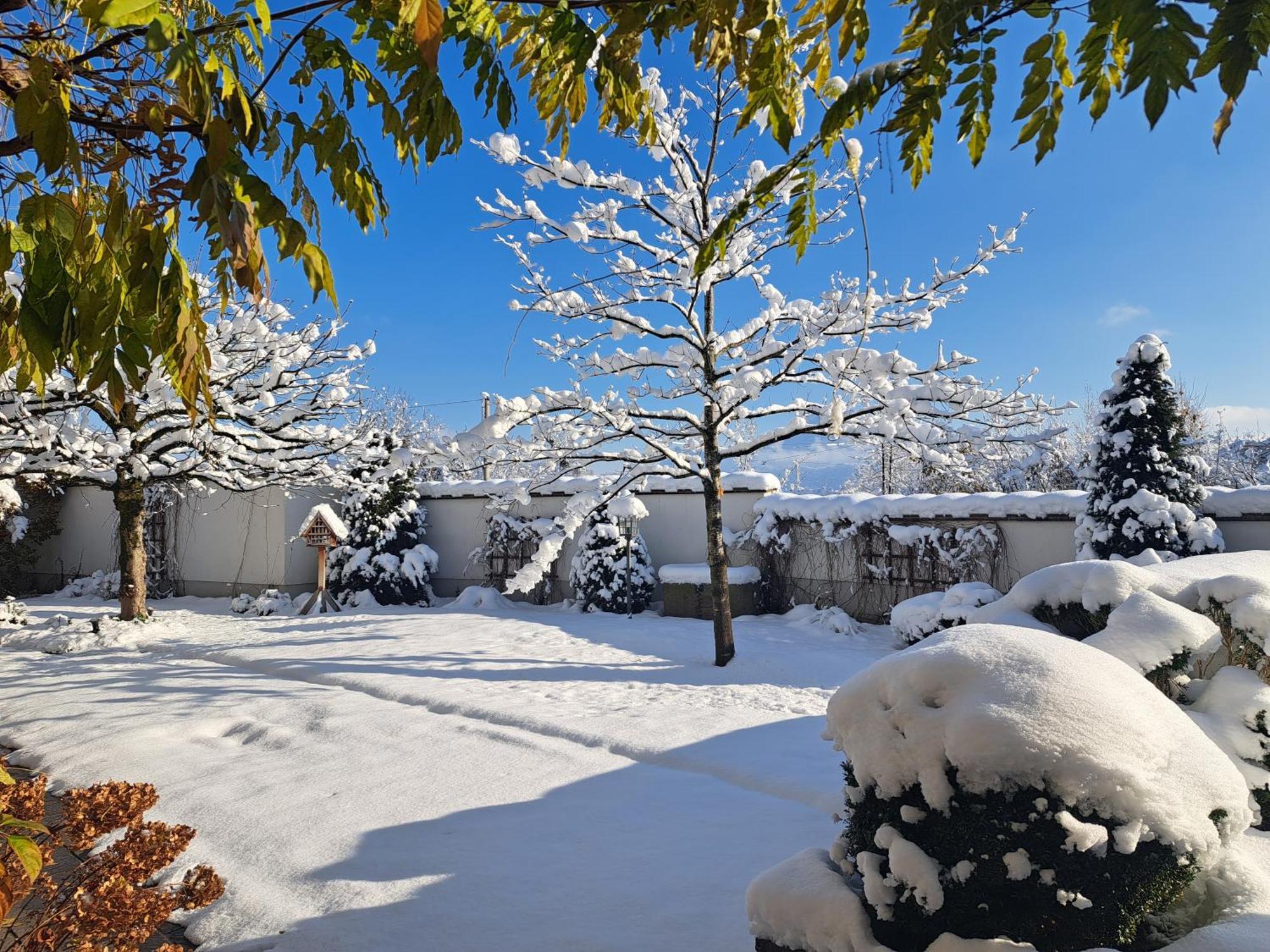 Brandstätter Salzburg